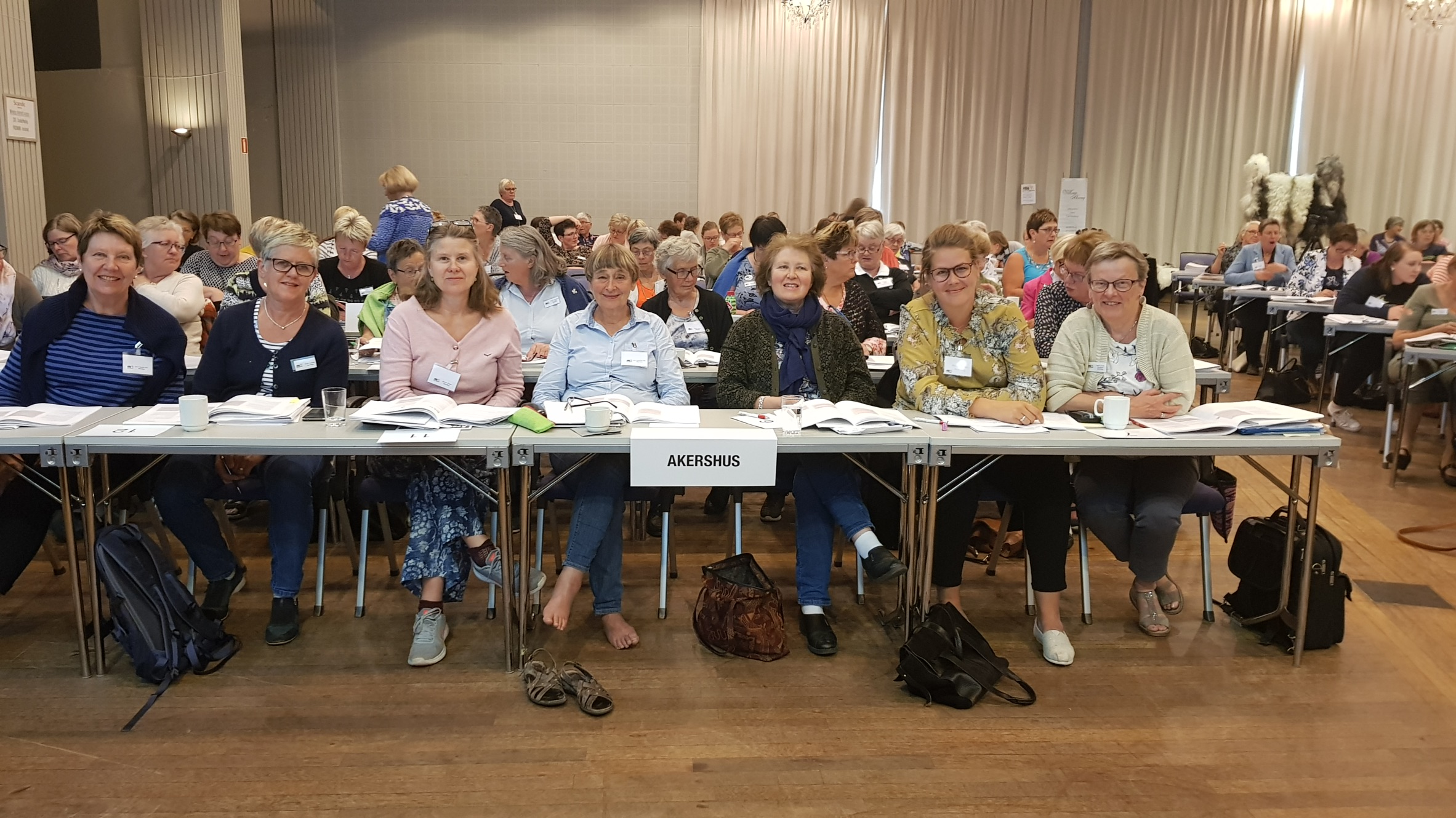 Akerhus bemken 