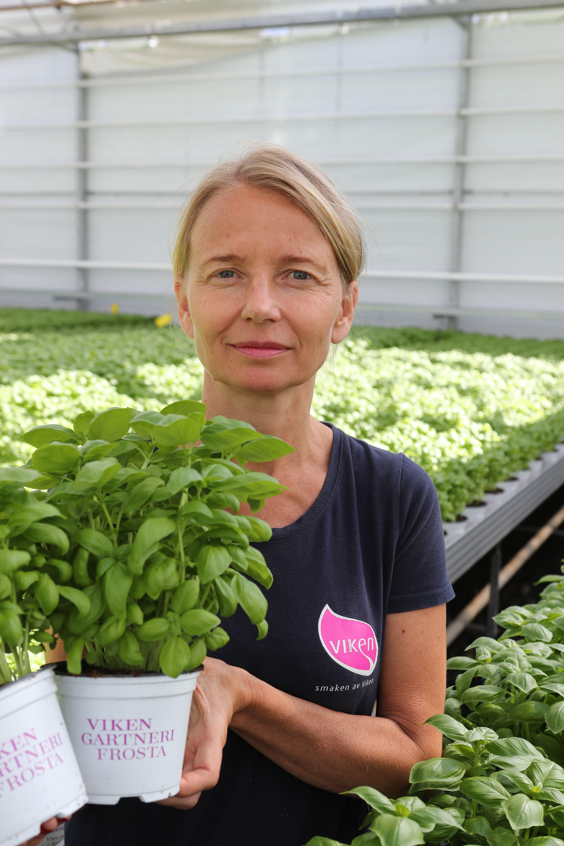 Ragnhild fortel at urter er ei utprega ferskvare, der ein har fire dagar på seg frå urteplanten er ferdig til den må vere pakka og på plass ute i butikken. 