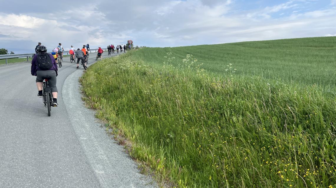 Rett etter oppstart, en bratt bakke opp Voldsdalen, alle kom med! Foto: Eva D. Alstad