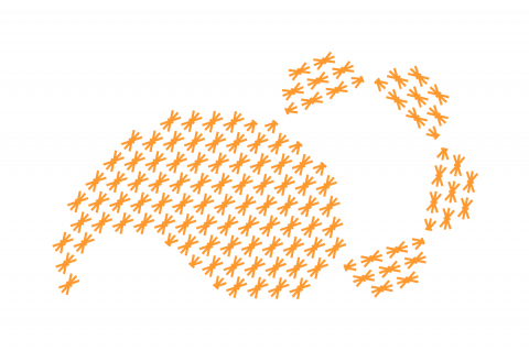 Inkludering og mangfold
