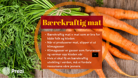 Bærekraft, grønnsaker, selvberging