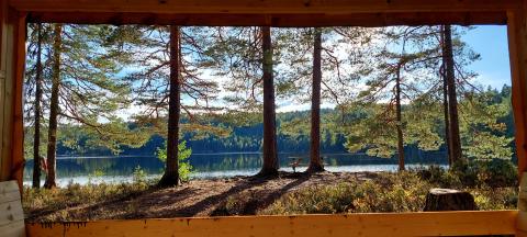 Gå turer 