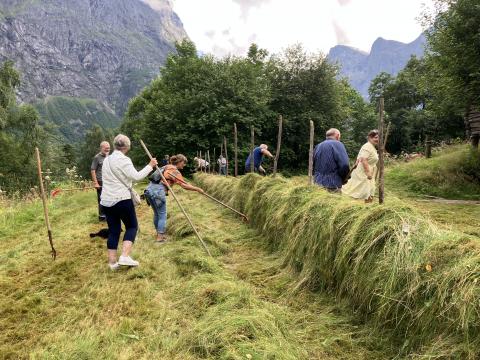 Stor interesse for hesjinga