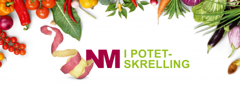 NM kvalifisering 