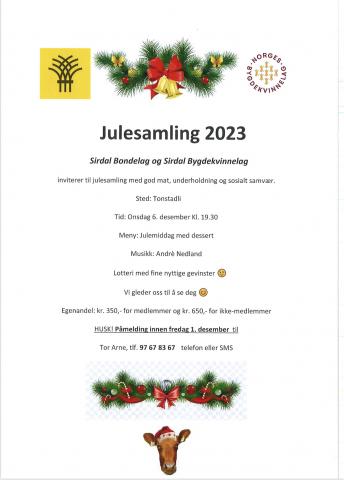 Julesamling