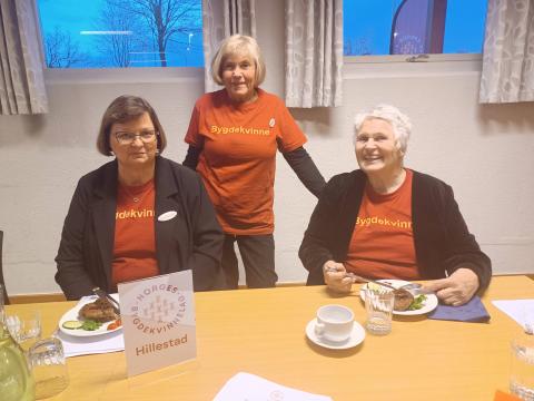 Delegater fra HBK, May Synnøve og Mary-Ann. Åse Kristine er fortograf. Torunn var invitert som tidligere leder.