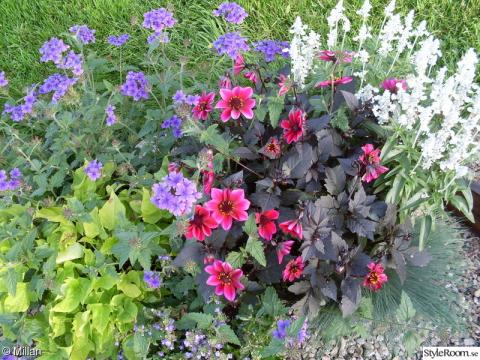 Blomster