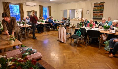 Klare for den årlige avlegger-auksjon