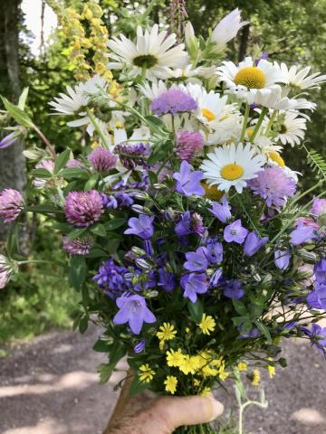 Helgens blomster