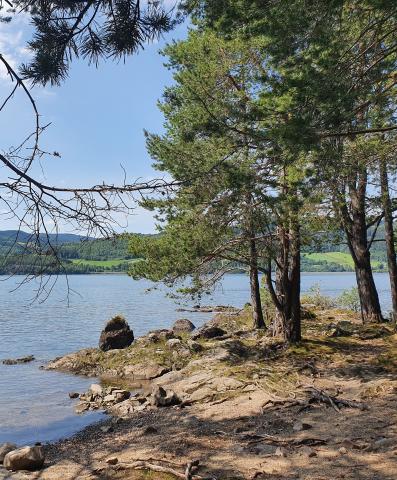 Mjøsa