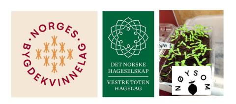 Vi sår sammen!