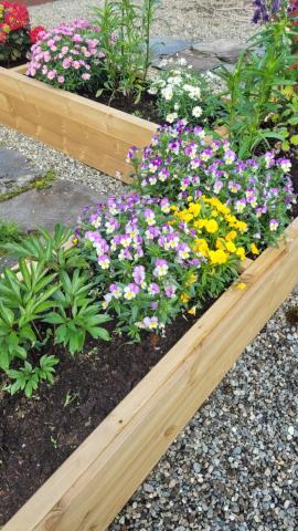 Blomster i fine kasser
