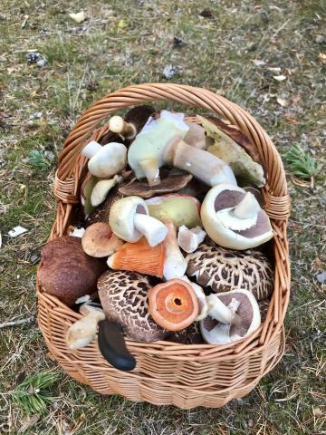 Foto: Ingrid Marie Espeseth 