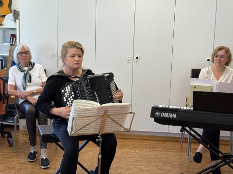 Trekkspeltonar med Marianne Skuggerud,- stemningsfullt!