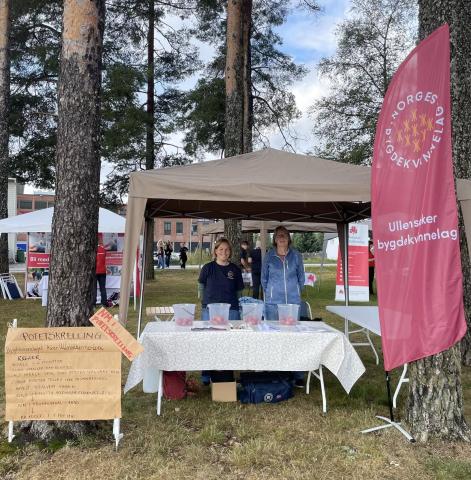 Potetskrellemesterskap