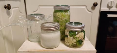 Fermentering, foto: K.A.Larsen