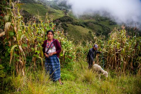Guatemala er et av landene i verden som kjenner konsekvensene av klimaendringer hardest. Foto: Harald Herland, Applaus! filmogtv AS