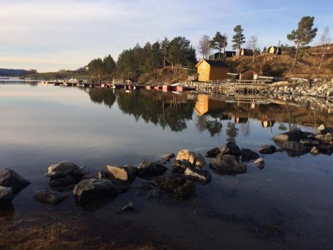 En nydelig dag på Hestholmen på Valsøya