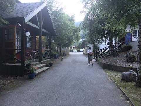 Nydeleg sommarkveld i hagen på Fjellro.