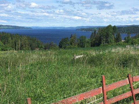 Utsikt mot Øyeren