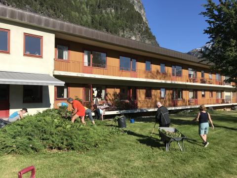 Full aktivitet med luking av løvetann og skvalderkål!