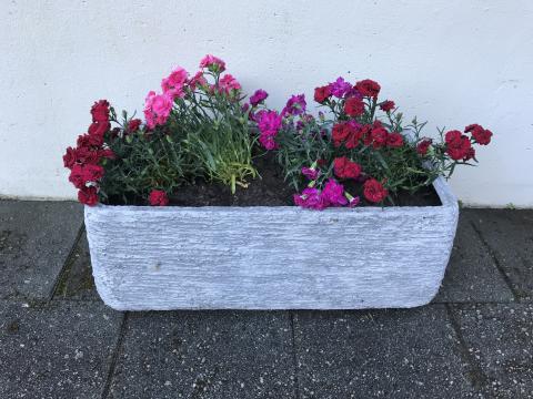 Flott at vi har mange som vatnar og steller litt!
