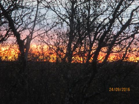 Solnedgang