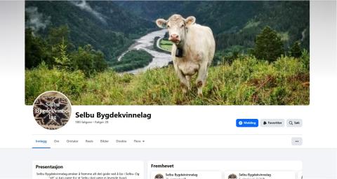 Facebook Selbu Bygdekvinnelags forside 2025