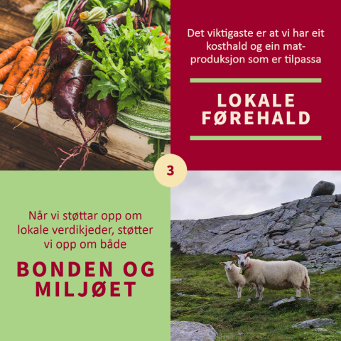 Kostholdsråd og bonden