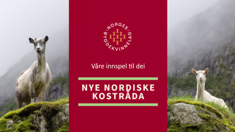 Norske kostholdsråd