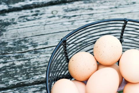 Egg