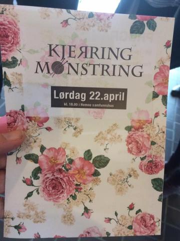 Målet med turen. Kjærringmønstring i Hemne.