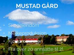 Vardal Bygdekvinnelags adventsmøte