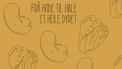 Illustrasjon: Hjerte og nyre, og tekst &quot;Frå hode til hale, et heile dyret&quot;