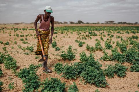 Småbønder som er avhengig av landbruket er ekstra sårbare for klimaendringer. Foto: Kristoffer Nyborg.