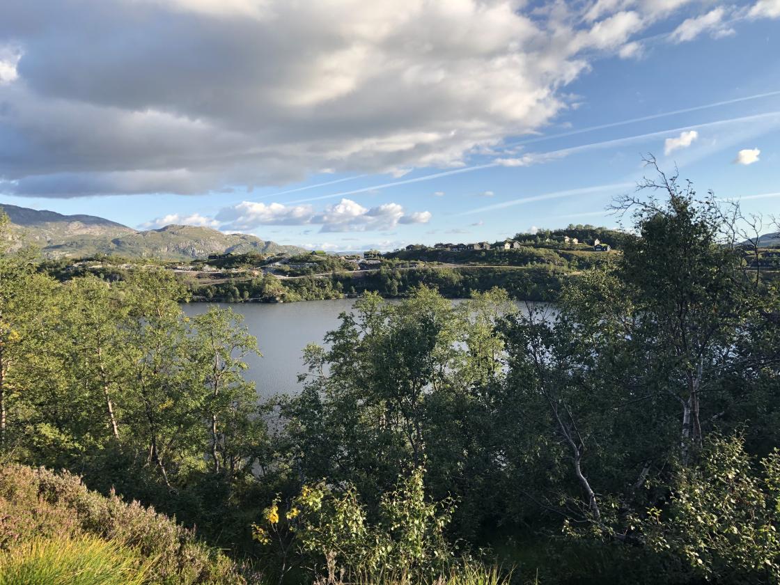 Bli kjend i bygda