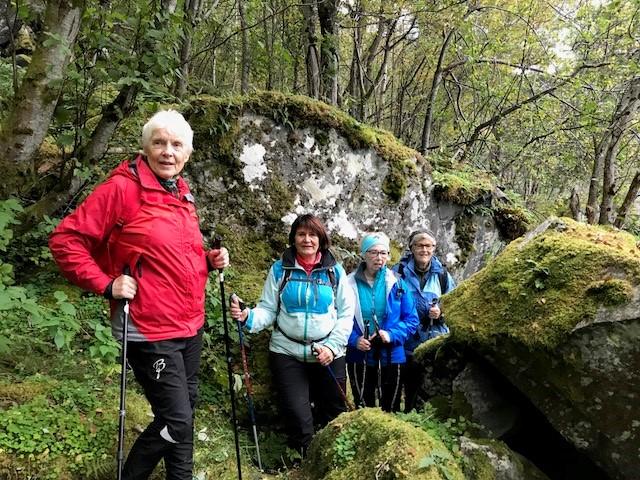 Mykje fint å sjå .