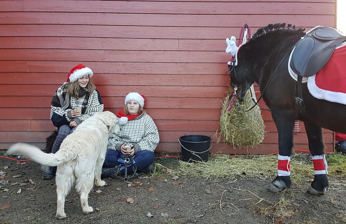 Gårdshunden, ponni og nissejenter må ta en pust i bakken