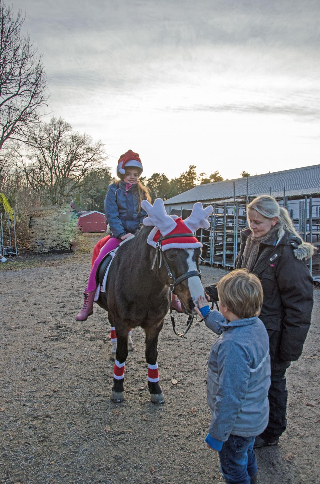 Ponniridning for barna er populært