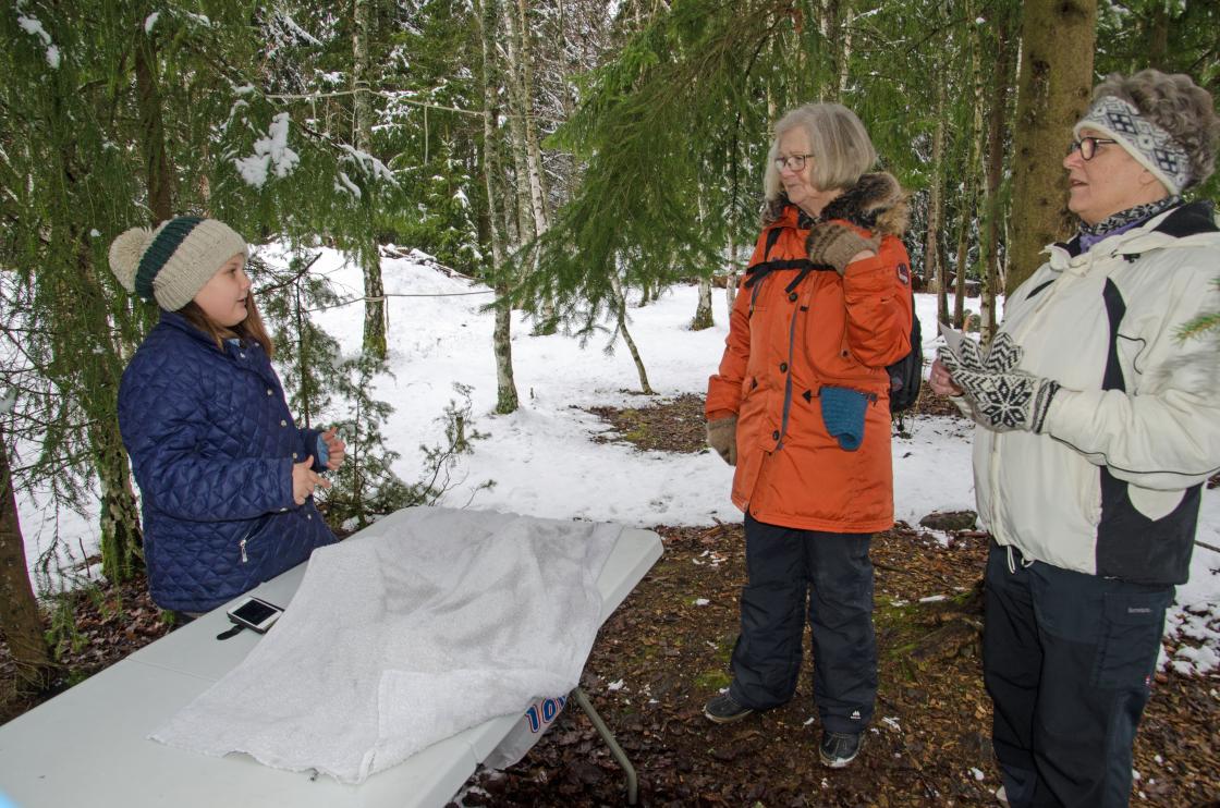 Kims lek, kan du huske alle tingene under teppe?