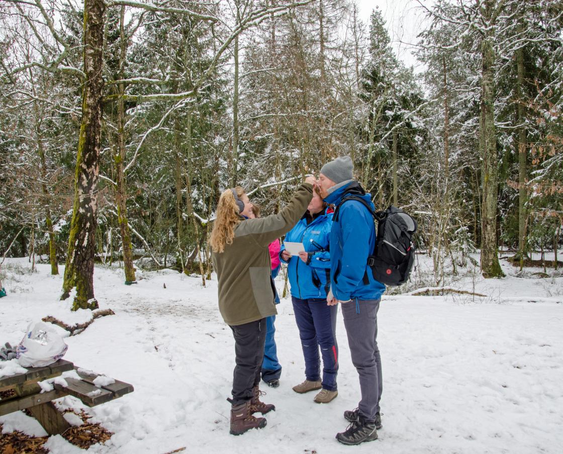 Gjett hva det smaker, søtt, surt eller salt?