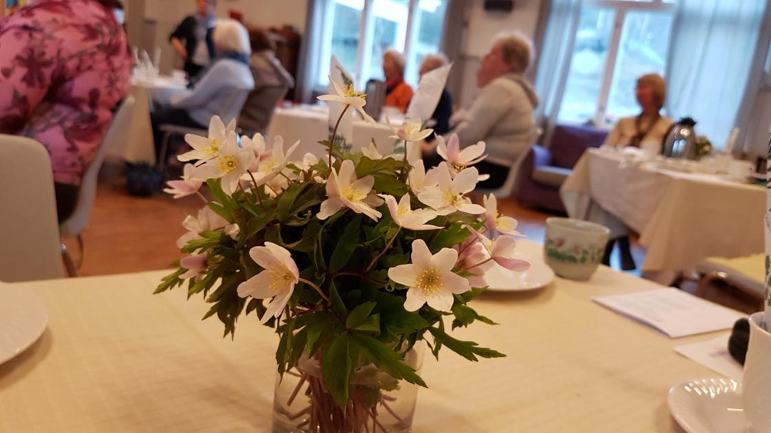 Bygdedamer blant hvitveisbuketter