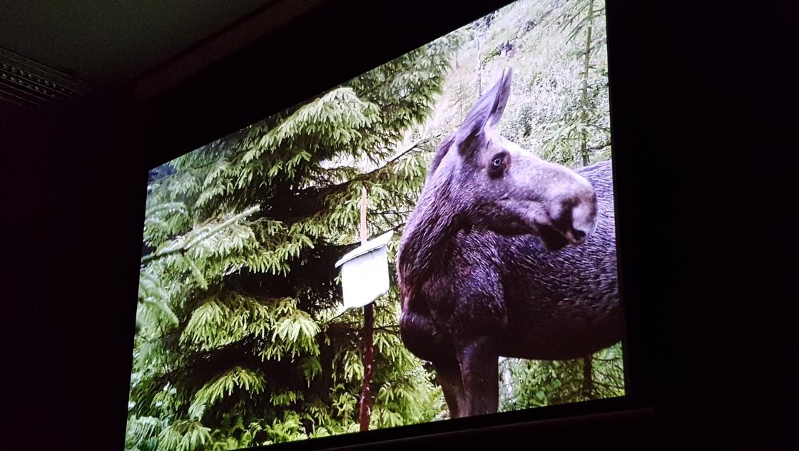 Bilder fra tv-serien &amp;quot;Helt Naturlig&amp;quot;.