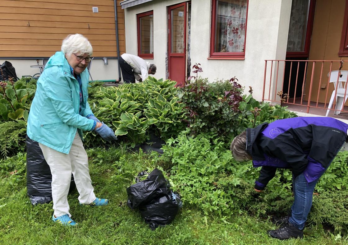 Skvalderkålgjengen i aksjon.
