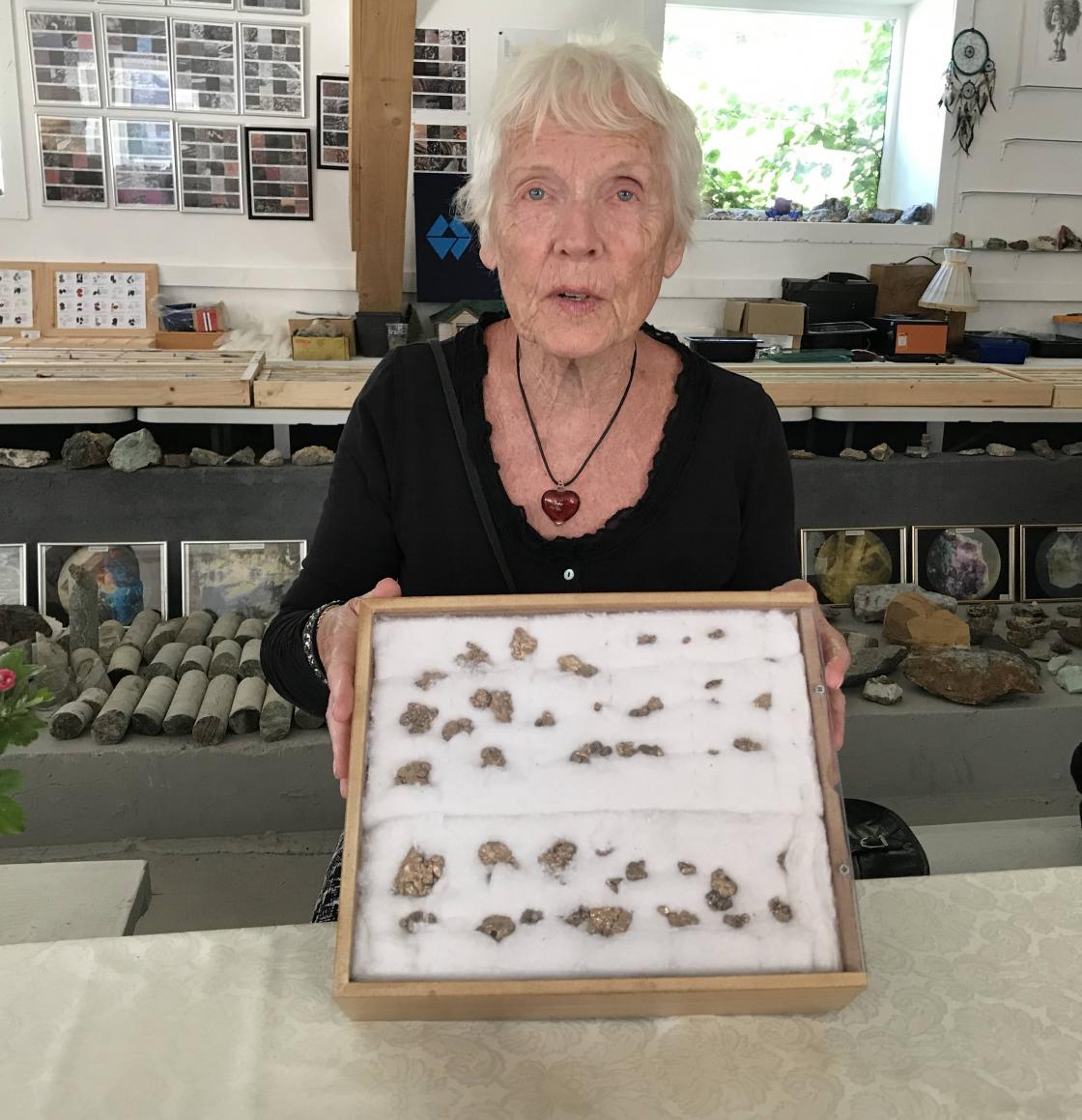 Liv viser samling av gullklumpar funne i Norddal.