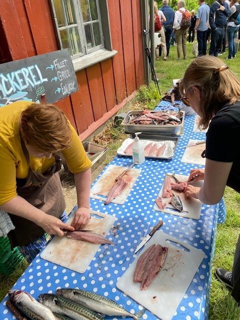 Filetering av makrell var en av aktivitetene. Foto: Helle Cecilie Berger.