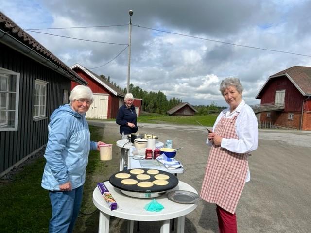 Steking av sveler på takke