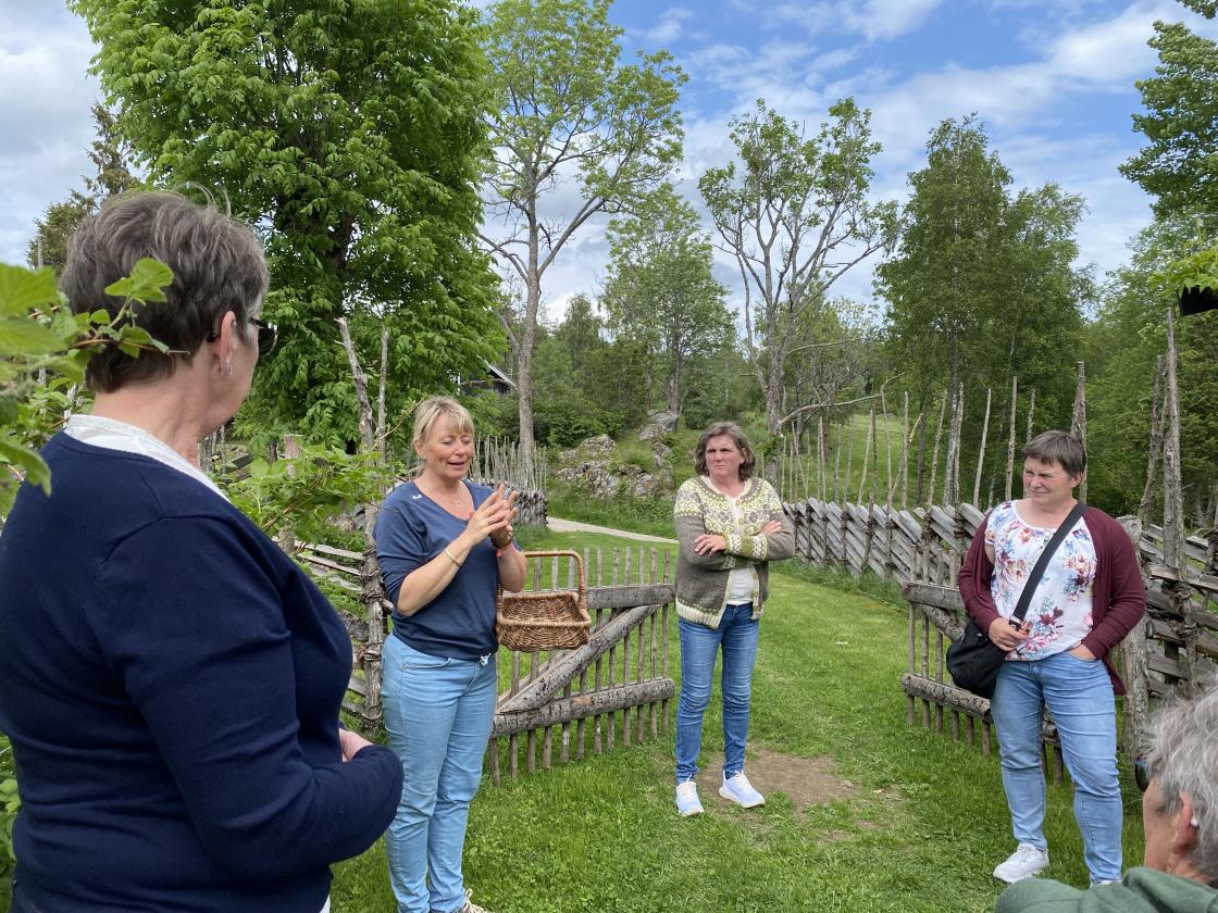 Damer i ett av hageanleggene på Bøensetre