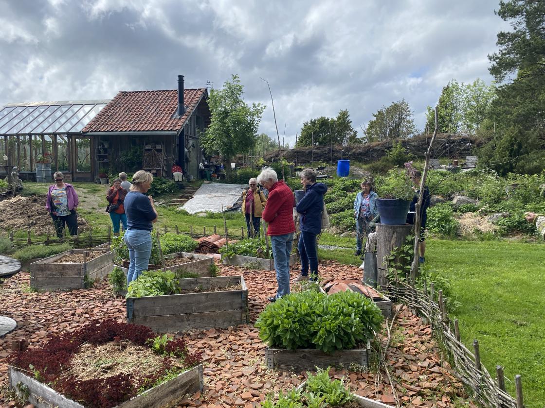 Urtehaden Bøensetre