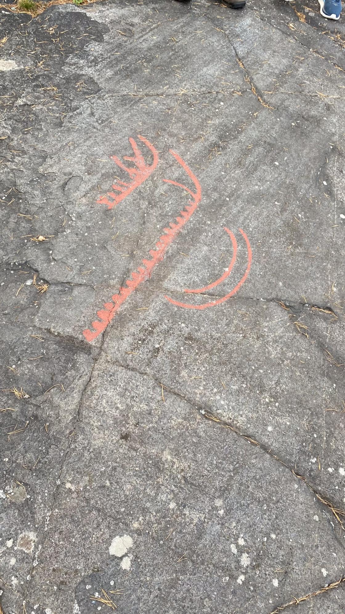 Bygdevandring til helleristningene